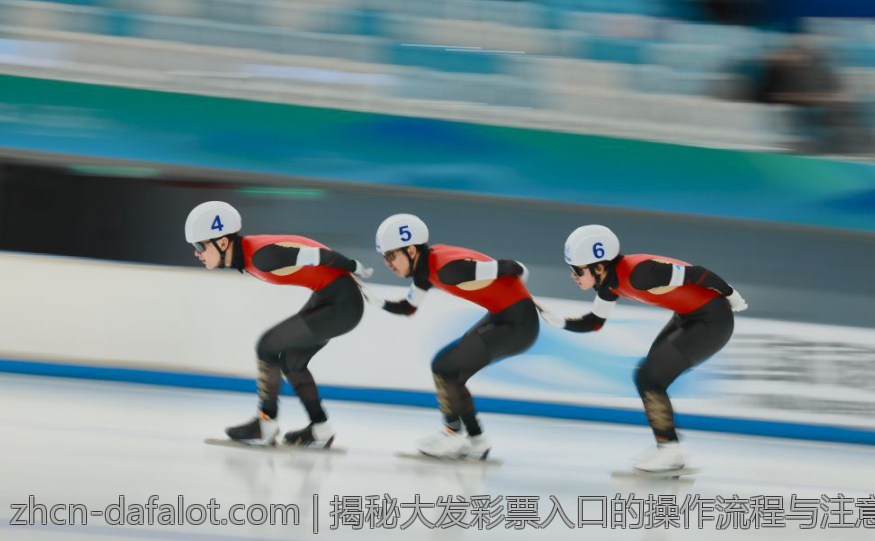 揭秘大发彩票入口的操作流程与注意事项