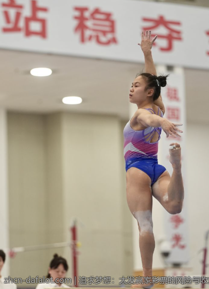 追求梦想：大发赢家彩票的风险与收益