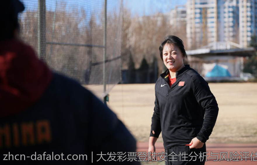 大发彩票登陆安全性分析与风险评估