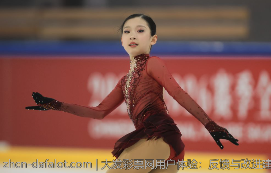 大发彩票网用户体验：反馈与改进建议