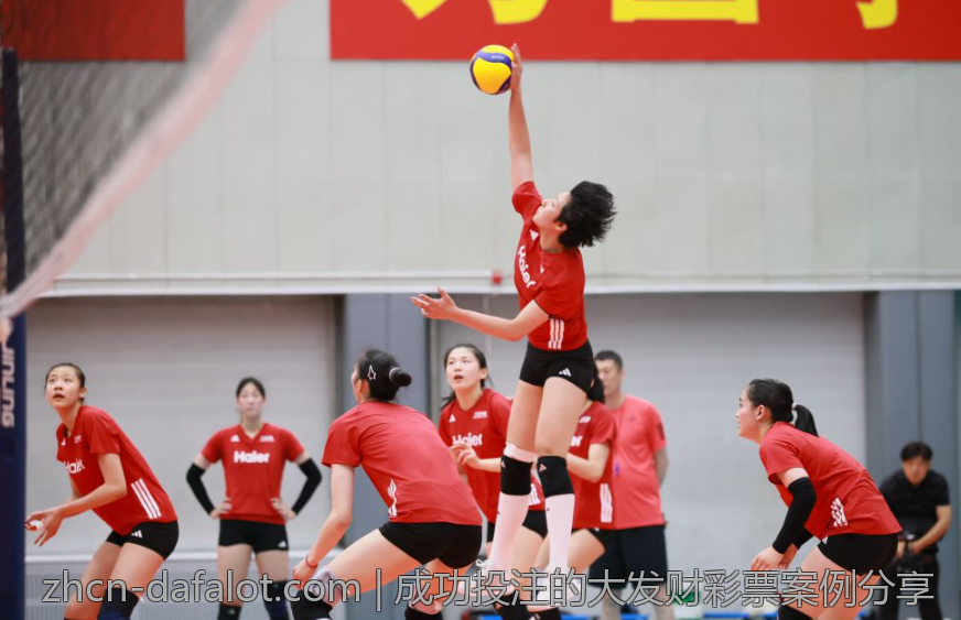 成功投注的大发财彩票案例分享