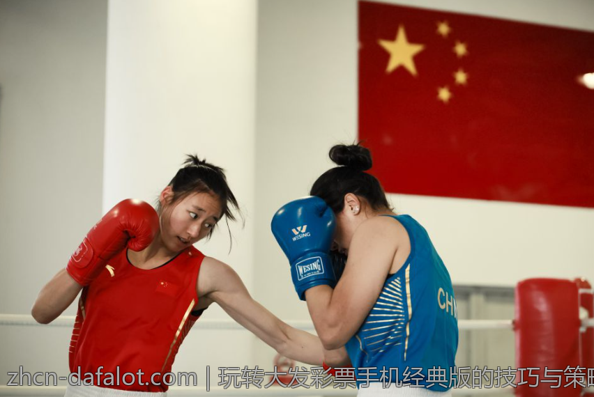 玩转大发彩票手机经典版的技巧与策略